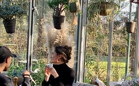 Hotel Au Nom De Dieu